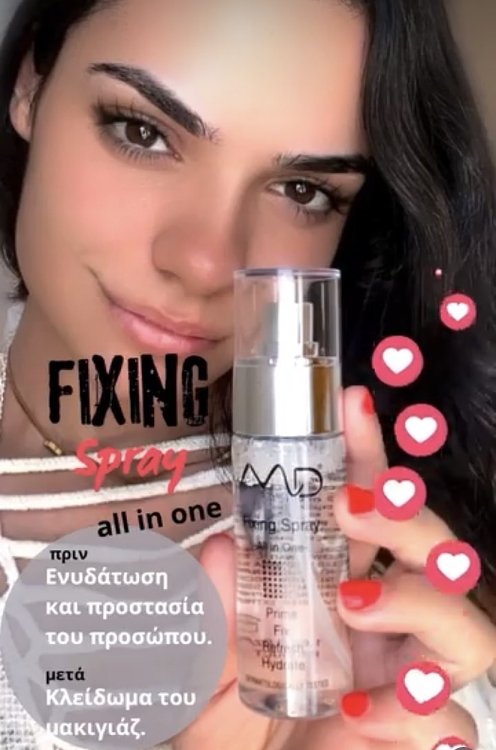 Fixing Spray -All in One-
