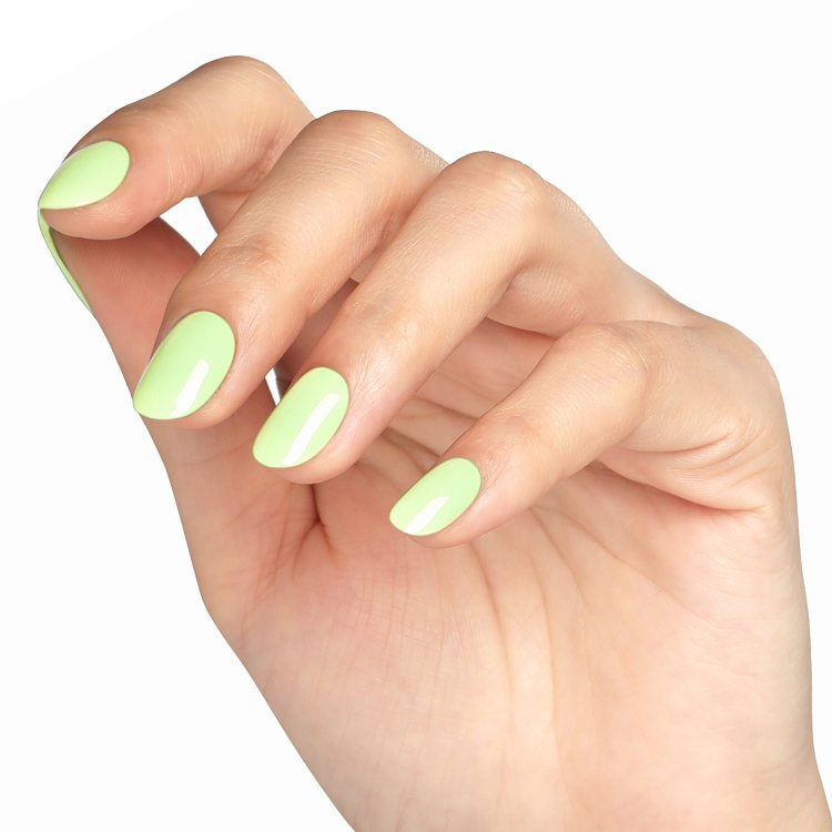MINT HARMONY