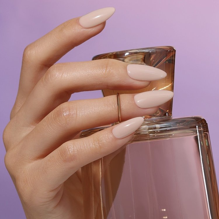 SUNRISE BEIGE - SEASONAL