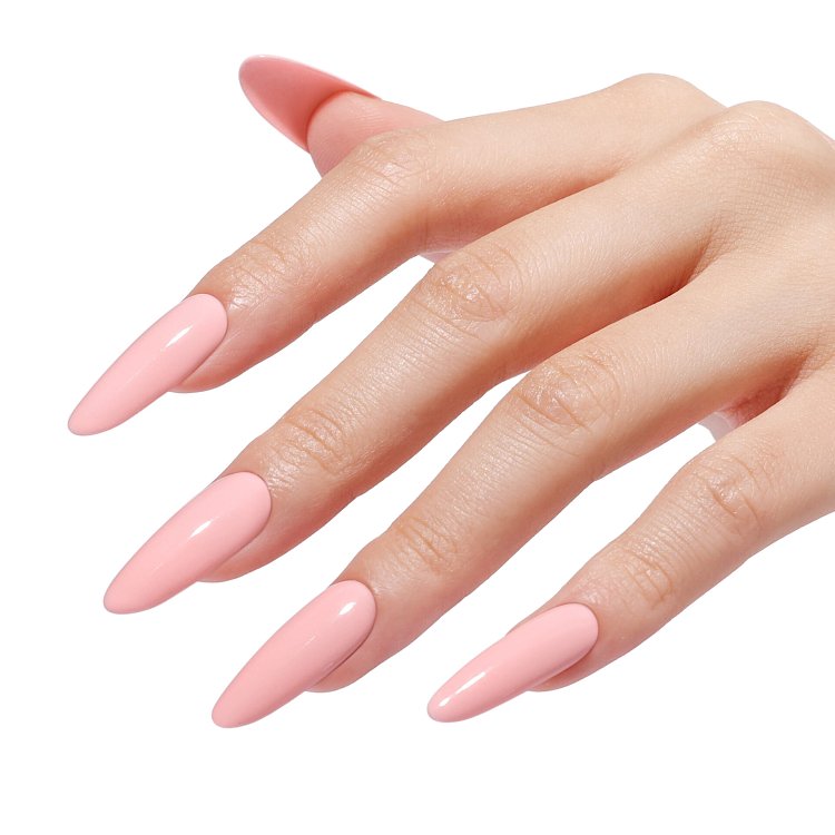 SORBET PINK - SEASONAL