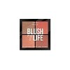 Blush FMU Ροθζ  No3 Rich