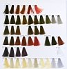 Βαφή Μαλλιών  Silky Color 100ml