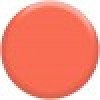 Express Yourself Lip Color Pencils L207