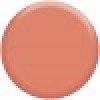 Express Yourself Lip Color Pencils L228