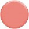 Express Yourself Lip Color Pencils L230
