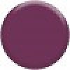 Express Yourself Lip Color Pencils L237