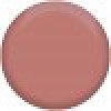 Perfect Liner Waterproof Lip Color 507