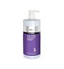 Dalon Hairmony Silver Shampoo SLS Free 1000m