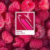 PINK SPRITZ – BERRY BLOOM COLLECTION