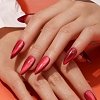 VELVET BURGUNDY - SEASONAL