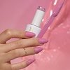 PINK CRUSH - SEASONAL